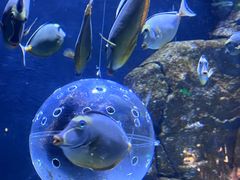 -成都浩海立方海洋公园