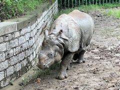 -上海野生动物园