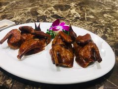 乳鸽-沙田轩(古北店)