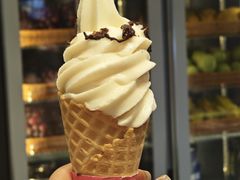-溪边姑娘·拉丝酸奶水果捞(春熙路店)