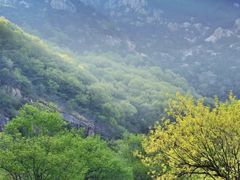 -泰山风景名胜区