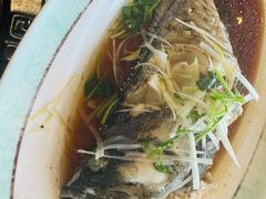 石斑鱼活捞清蒸-巧克力渔家.小船海鲜胶东菜(万平口店)