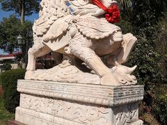 -金孔雀温泉旅游度假村