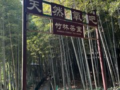 -宝岩生态观光园