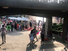 -南京银杏湖乐园