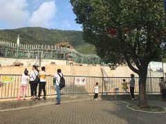 -无锡动物园·太湖欢乐园