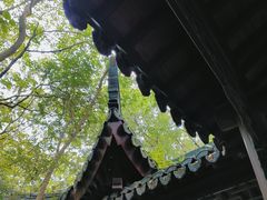 -上海佘山国家森林公园天马山园