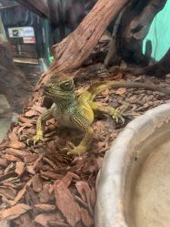 -Zoolung Zoolung动物主题公园(海信广场店)