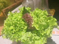 -炭之家·齐齐哈尔非遗烤肉·鲜切直供(中央大街店)