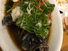 -芽庄MP泰式海鲜海景餐厅