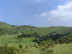 -大姆山草场