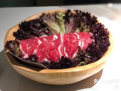 -芸山季·云南山珍菌火锅(南翔印象城MEGA店)