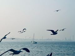 -大连海昌东方水城