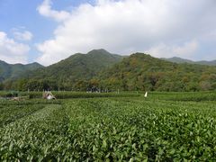 -听风阁农家私房菜茶楼(龙坞店)