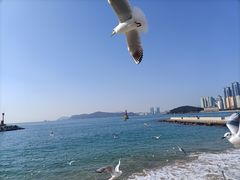 -海云台海滩