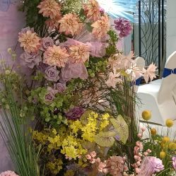 点击看大图 -石家庄苏亚美联臣医疗美容医院