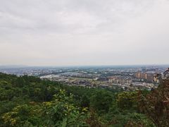 -老妈灶房柴火鸡(香雪海路店)