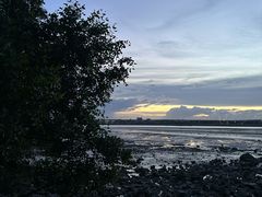 -宝安西湾红树林湿地公园