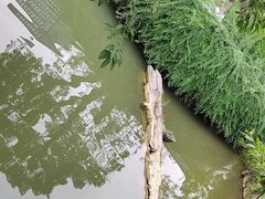 -龙潭水乡