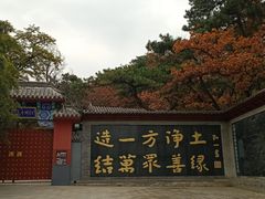 -红螺寺