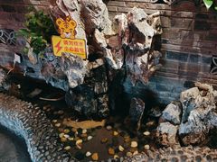 -潮辣成都老火锅(奉贤扶港路店)