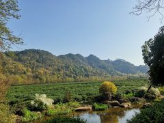 -中国茶叶博物馆(双峰馆区)