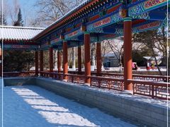 -莲花池公园