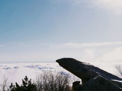 -泰山风景名胜区