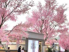 -首开·龙湖成都西宸天街