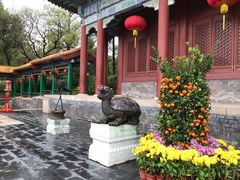 -珠海圆明新园