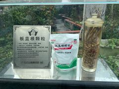 -广州神农草堂中医药博物馆