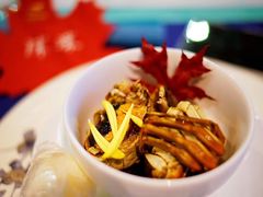 -诺莱仕游艇会