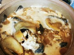 -孔庆璞河豚馆(白玉兰酒店)