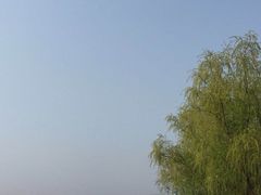 -石塘人家
