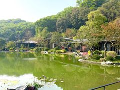 -云溪植物园