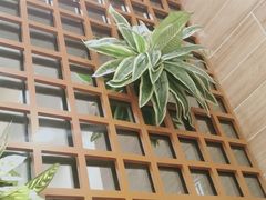 -佰搭果·广式茶餐厅(西华路店)