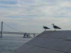 -星海广场