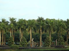 -顺峰山公园