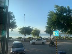 -野菌皇海景野生菌火锅(滨海大道店)