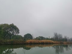 -西溪国家湿地公园