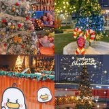东莞……预测圣诞🎄爆火拍照点！！！