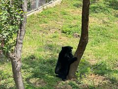 -合肥野生动物园