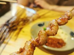 -晓靖轩烧烤(沙河风情店)