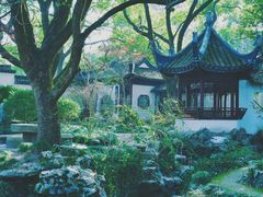 -上海醉白池公园