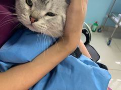 -瑞派福兴宠物医院犬猫全科·骨科·中西医结合(河东店)