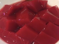 鲜鸭血-晓宇重庆火锅(赛格国际购物中心店)