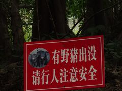 -南山植物园