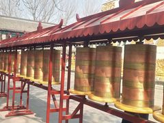 -护国法轮寺