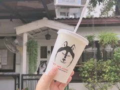 -TrueLove @ Neverland (Husky Cafe)