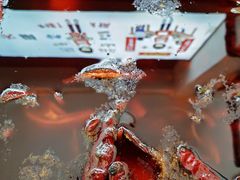 -黄潇洒老火锅(九眼桥宏济巷店)